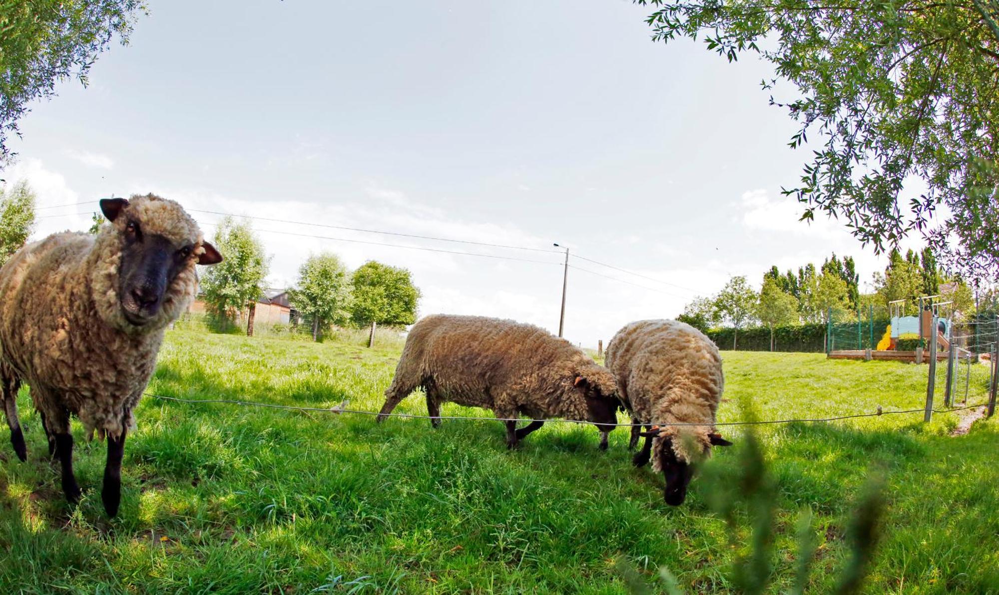 Vila La Ligule Mignault Exteriér fotografie