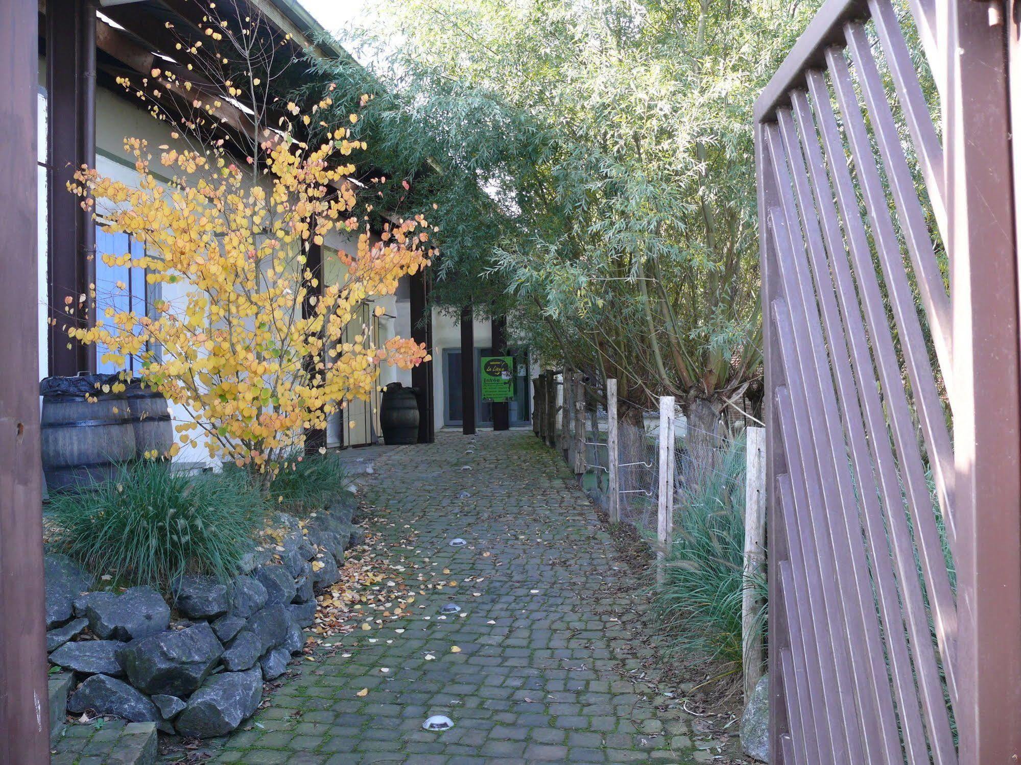 Vila La Ligule Mignault Exteriér fotografie